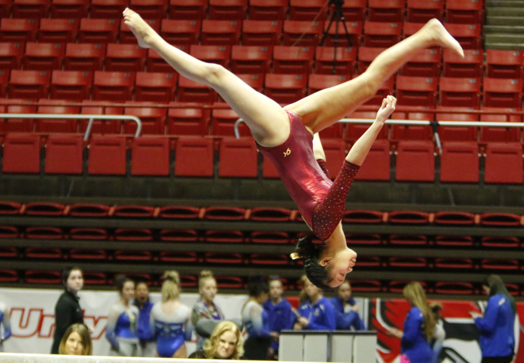 Gymnastics state finals